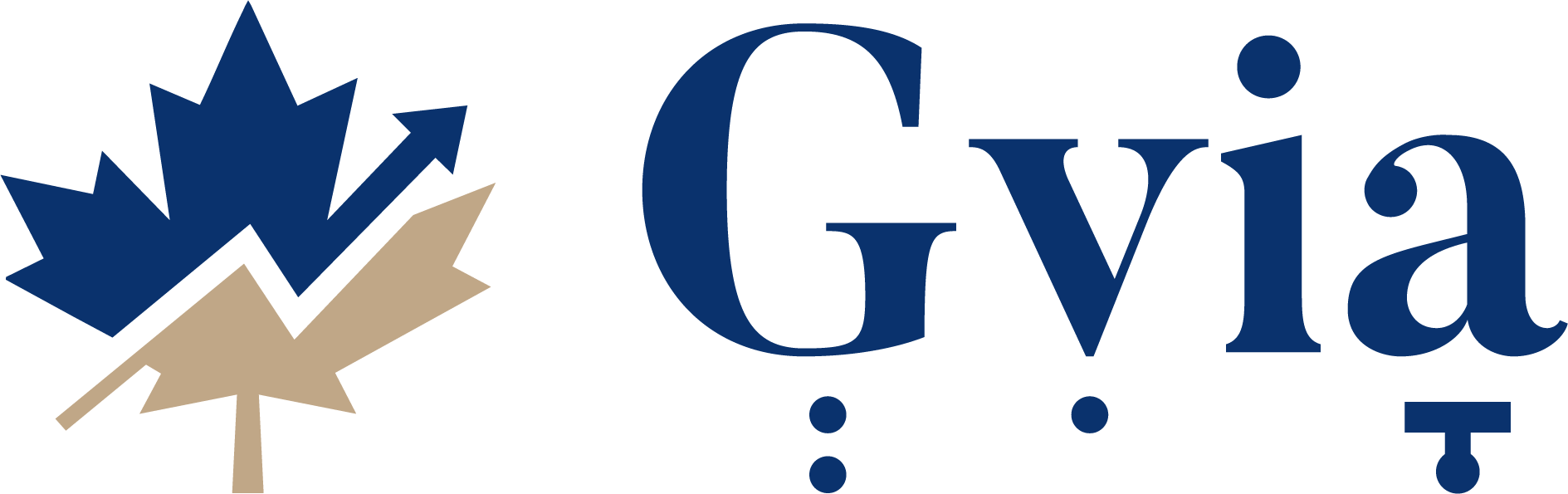 Gvia & Associates